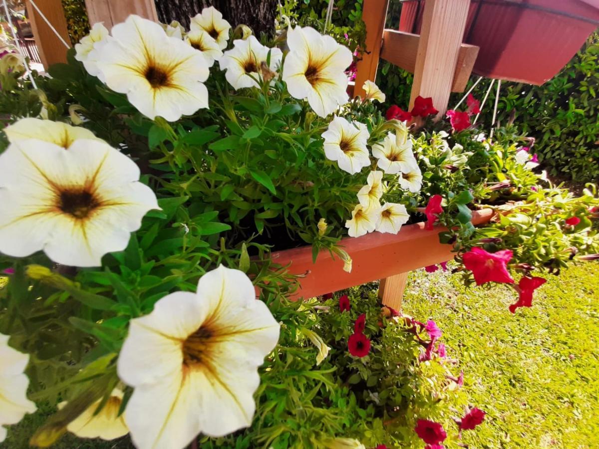 Rooms Mario Medjugorje Ngoại thất bức ảnh